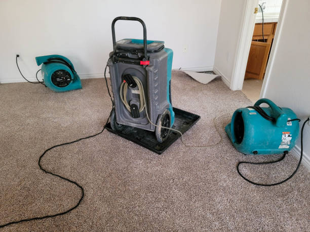 Best Water damage restoration near me  in Crescent, OK