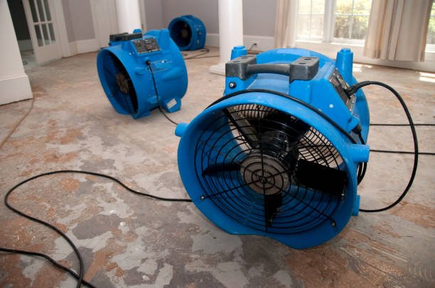Best Water damage restoration process  in Crescent, OK