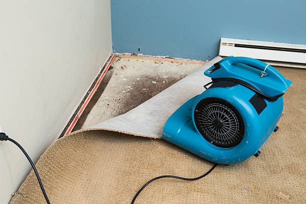 Best Water damage restoration near me  in Crescent, OK